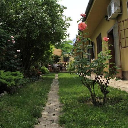 Apartman Brankova Kuca Sremski Karlovci Esterno foto
